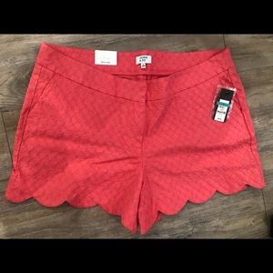 NWT Crown & Ivy scalloped trim shorts in Coral Aura
